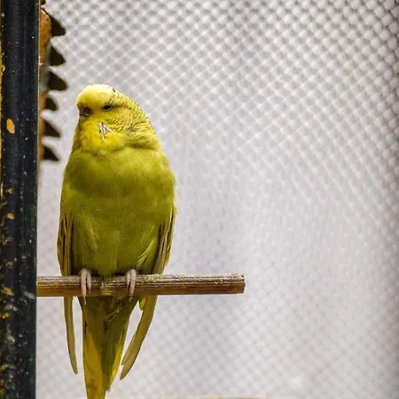 酒店 Oglakcioglu Park 伊兹密尔