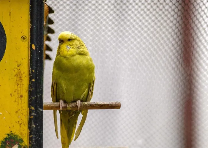 Hotel Oglakcioglu Park Esmirna